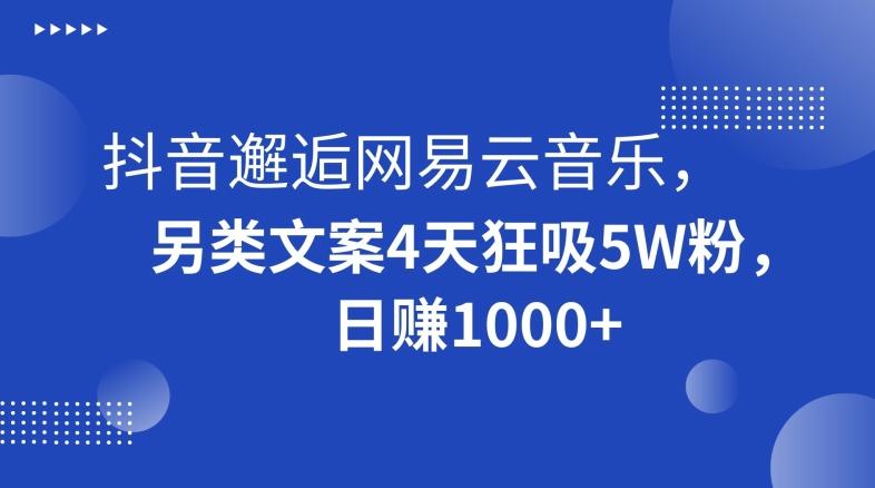 抖音邂逅网易云音乐，另类文案4天狂吸5W粉，日赚1000+【揭秘】_就是爱分享