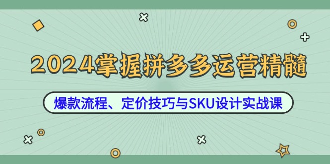 2024掌握拼多多运营精髓：爆款流程、定价技巧与SKU设计实战课_就是爱分享