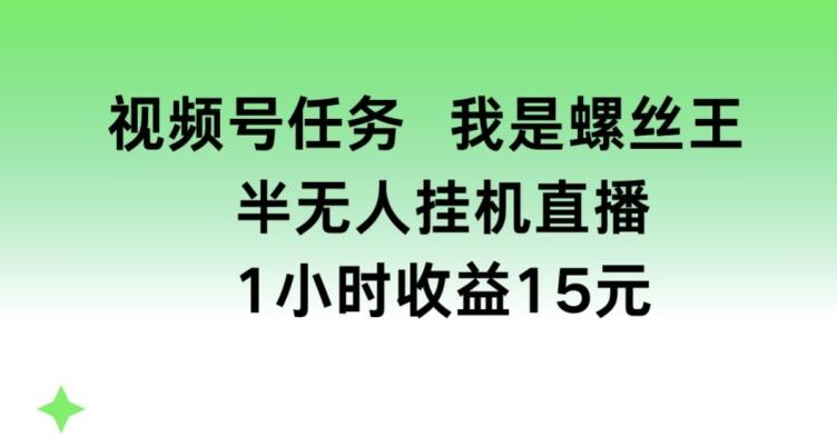 视频号任务,我是螺丝王, 半无人挂机1小时收益15元【揭秘】_就是爱分享