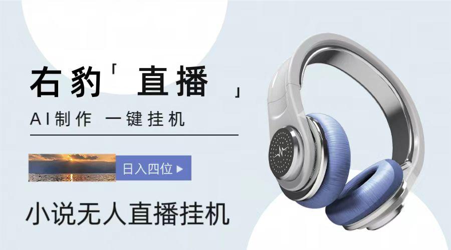 右豹小说无人直播挂机吸金项目，简单易行收益稳定， 月入1000+_就是爱分享