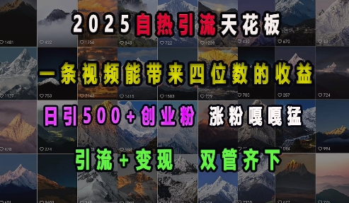 2025自热引流天花板，一条视频能带来四位数的收益，引流+变现双管齐下，日引500+创业粉，涨粉嘎嘎猛_就是爱分享