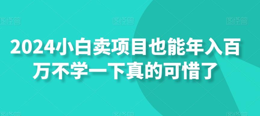 2024小白卖项目也能年入百万不学一下真的可惜了_就是爱分享