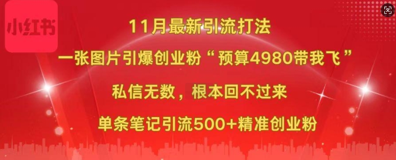 小红书11月最新图片打粉，一张图片引爆创业粉，“预算4980带我飞”，单条引流500+精准创业粉_就是爱分享