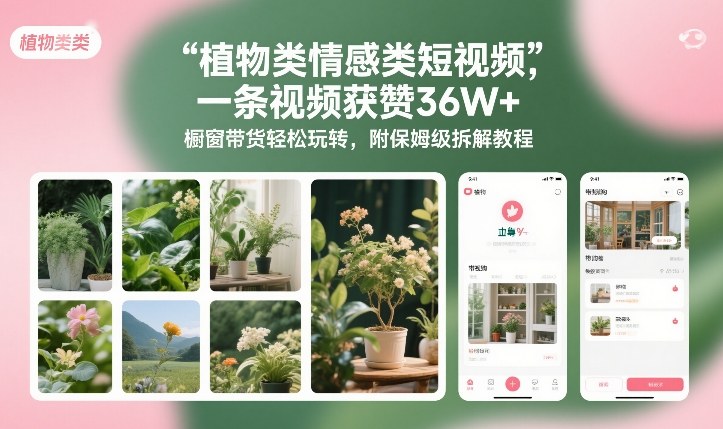植物类情感类短视频,一条视频获赞36W+,橱窗带货轻松玩转,附保姆级拆解教程_就是爱分享