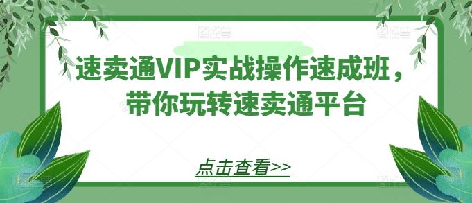 速卖通VIP实战操作速成班，带你玩转速卖通平台_就是爱分享
