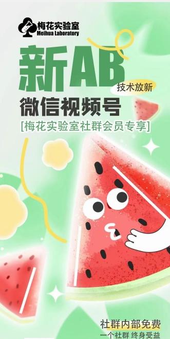 梅花实验室2024年AB技术视频号AB合成破解版_就是爱分享