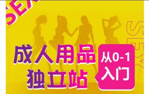 成人用品独立站从0-1入门，成品独立站运营全流程教学，七大好卖成品独立站推荐_就是爱分享