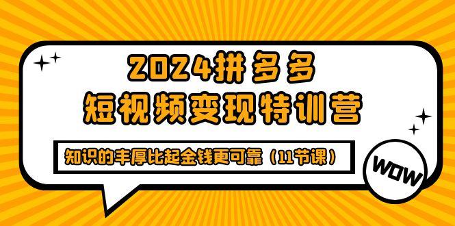 (9817期)2024拼多多短视频变现特训营，知识的丰厚比起金钱更可靠(11节课)_就是爱分享