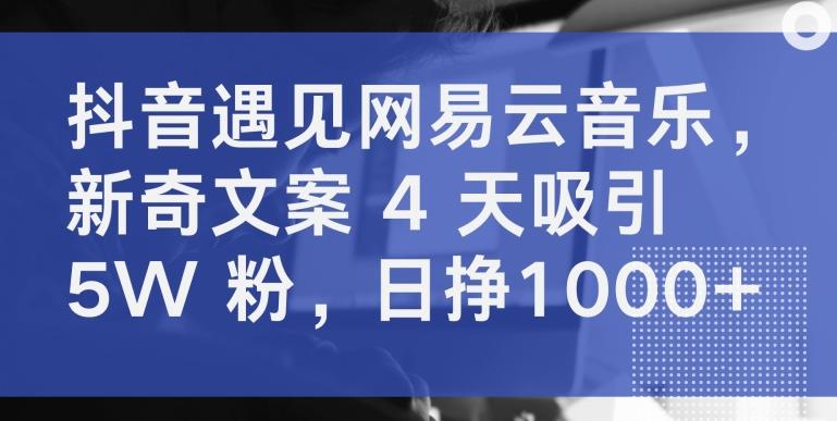抖音遇见网易云音乐，新奇文案 4 天吸引 5W 粉，日挣1000+【揭秘】_就是爱分享