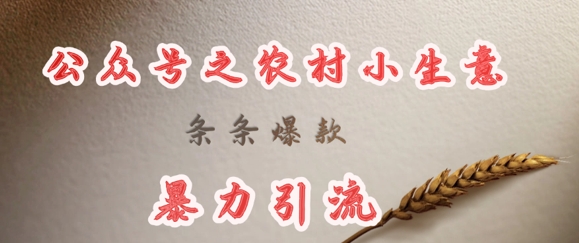 deepseek写农村小项目，条条爆款，暴力引流_就是爱分享