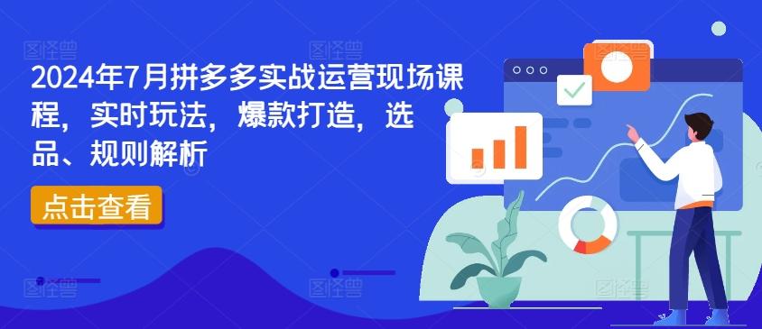 2024年7月拼多多实战运营现场课程，实时玩法，爆款打造，选品、规则解析_就是爱分享