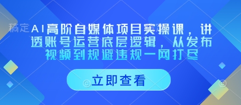 AI高阶自媒体项目实操课，讲透账号运营底层逻辑，从发布视频到规避违规一网打尽_就是爱分享