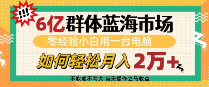 6亿群体蓝海市场，零经验小白用一台电脑，如何轻松月入过w【揭秘】_就是爱分享
