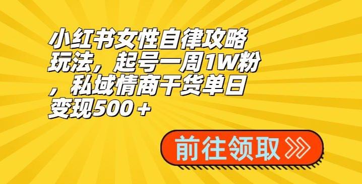 小红书女性自律攻略玩法，起号一周1W粉，私域情商干货单日变现500＋_就是爱分享