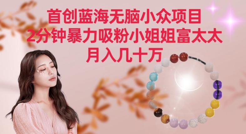 首创蓝海无脑小众项目,2分钟暴力吸粉小姐姐富太太,月入几十万【揭秘】_就是爱分享