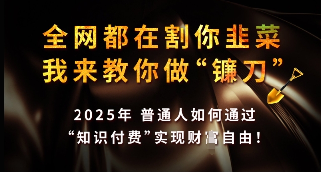 全网都在割你韭菜，我来教你做镰刀，2025年普通人如何通过 知识付费 实现财F自由【揭秘】_就是爱分享