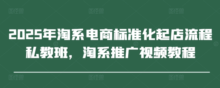 2025年淘系电商标准化起店流程私教班，淘系推广视频教程_就是爱分享