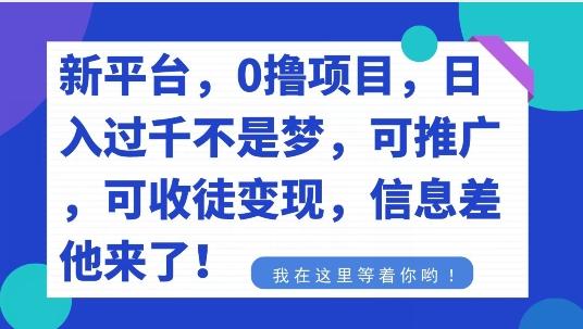 不要再花冤枉钱了，0撸项目，每天坚持，稳定1000+_就是爱分享