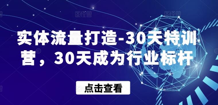 实体流量打造-30天特训营，30天成为行业标杆_就是爱分享