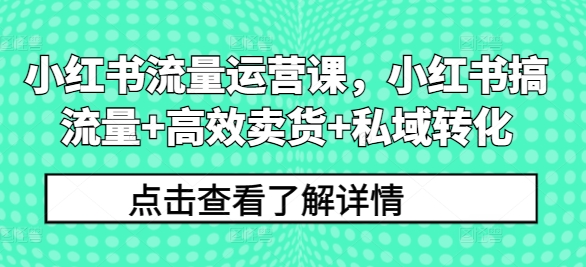 小红书流量运营课，小红书搞流量+高效卖货+私域转化_就是爱分享