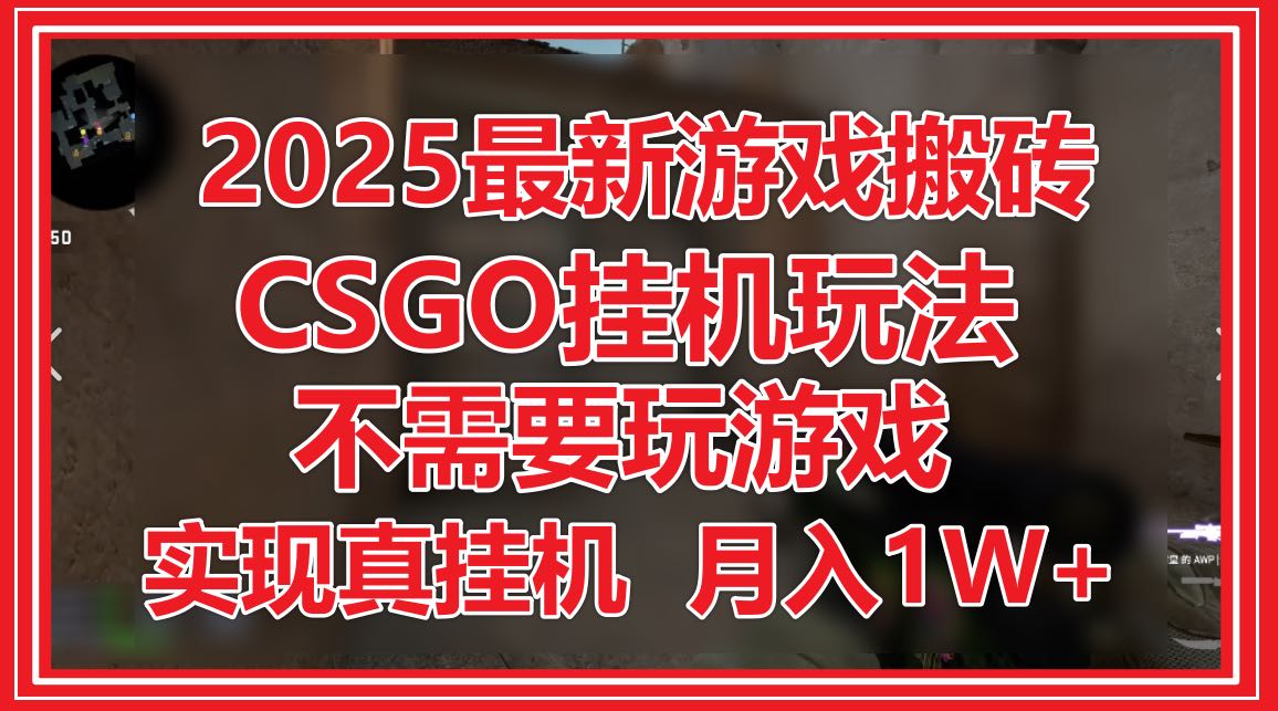 2025最新游戏搬砖，CSGO挂机，不需要玩游戏，实现真挂机，月入1W+_就是爱分享