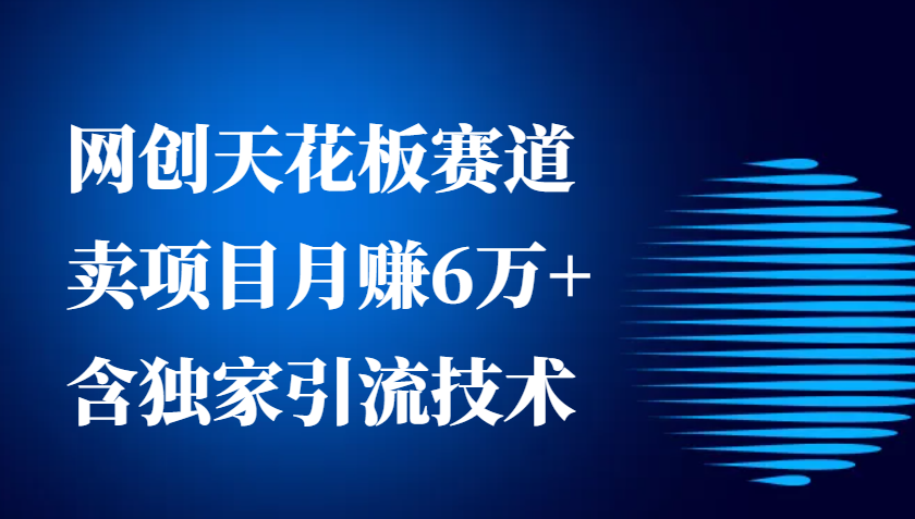 网创天花板赛道，卖项目月赚6万+，含独家引流技术(共26节课)_就是爱分享