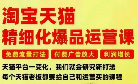 淘宝天猫精细化爆品运营课，免费流量打法-付费广告放大-利润增长-三大核心痛点，一次全部解决_就是爱分享