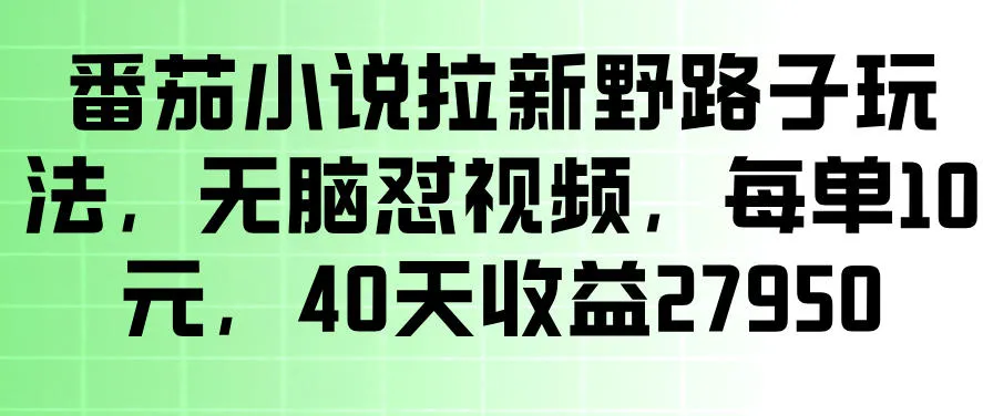 番茄小说拉新野路子玩法,无脑怼视频,玩法简单、见效快,每单10米,40天收益27950_一起云网创