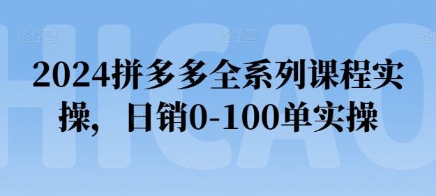 2024拼多多全系列课程实操，日销0-100单实操【必看】_就是爱分享