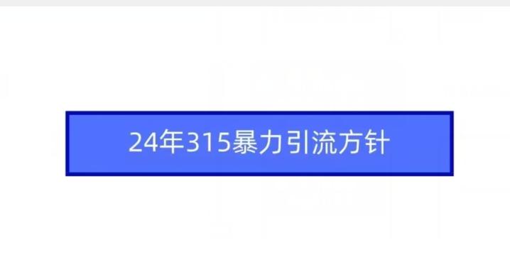 24年315暴力引流方针_就是爱分享