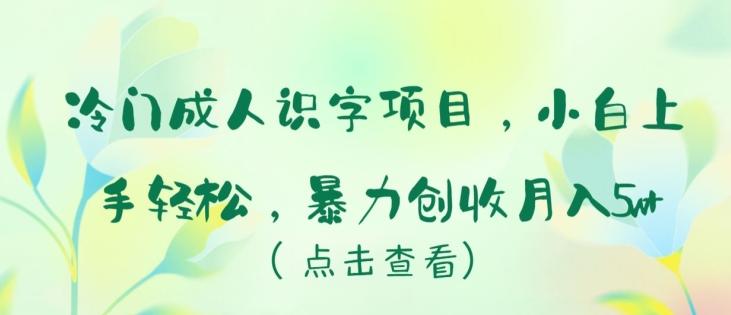 冷门成人识字项目，小白上手轻松，暴力创收月入5w+【揭秘】_就是爱分享