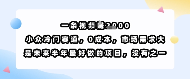 一条视频挣1k,小众冷门赛道,0成本,市场需求大,是未来半年最好做的项目,没有之一_就是爱分享