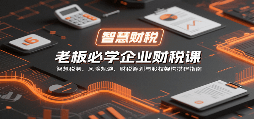 老板必学企业财税课：智慧税务、风险规避、财税筹划与股权架构搭建指南_就是爱分享