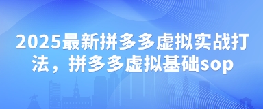 2025最新拼多多虚拟实战打法，拼多多虚拟基础sop_就是爱分享