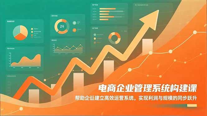 (16643期)电商企业管理系统构建课:帮助企业建立高效运营系统,实现利润与规模的同步跃升_就是爱分享