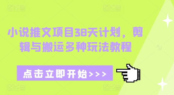 小说推文项目38天计划，剪辑与搬运多种玩法教程_就是爱分享