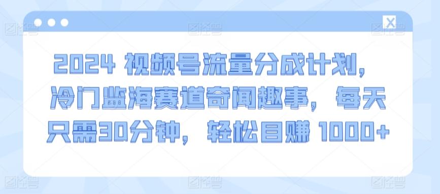 2024视频号流量分成计划，冷门监海赛道奇闻趣事，每天只需30分钟，轻松目赚 1000+【揭秘】_就是爱分享