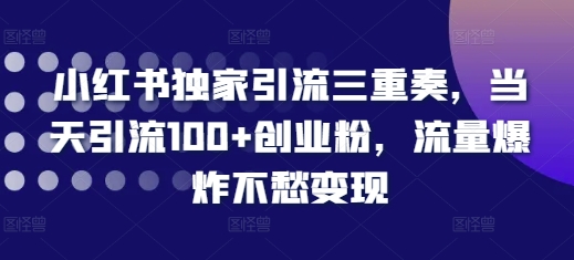 小红书独家引流三重奏，当天引流100+创业粉，流量爆炸不愁变现【揭秘】_就是爱分享