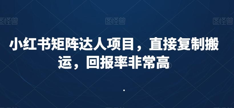 小红书矩阵达人项目，直接复制搬运，回报率非常高_就是爱分享
