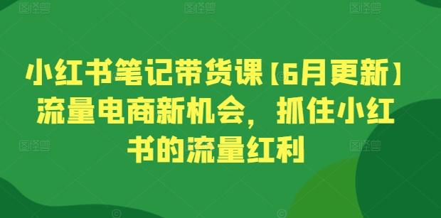 小红书笔记带货课【6月更新】流量电商新机会，抓住小红书的流量红利_就是爱分享