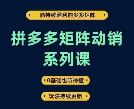 拼多多矩阵动销系列课，能持续盈利的多多矩阵，0基础也听得懂，玩法持续更新_就是爱分享