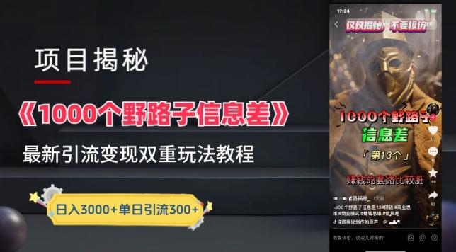 一千个野路子信息差最新玩法教程-变现+引流的玩法具体拆解【揭秘】_就是爱分享