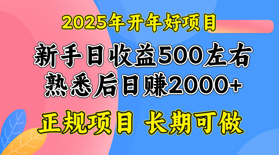 2025开年好项目，单号日收益2000左右_就是爱分享
