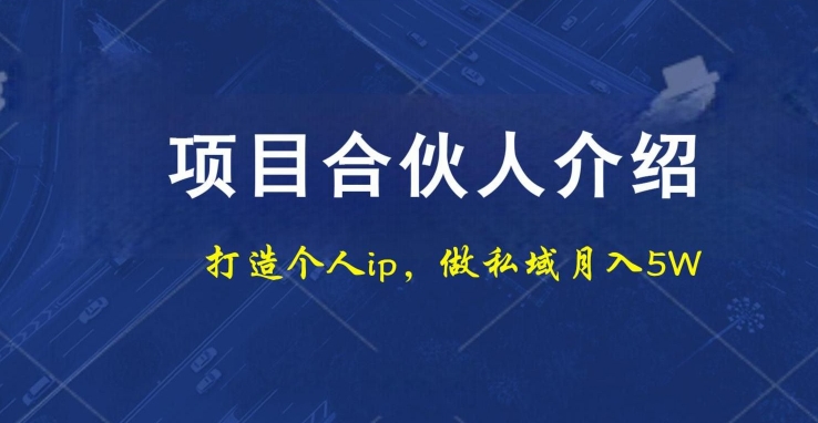 项目合伙人项目，打造个人IP，做私域月入5W，小白勿扰_就是爱分享