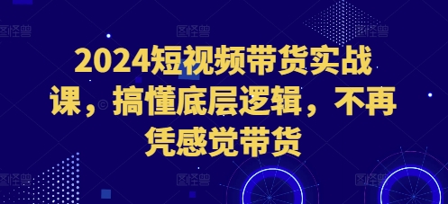 2024短视频带货实战课，搞懂底层逻辑，不再凭感觉带货_就是爱分享