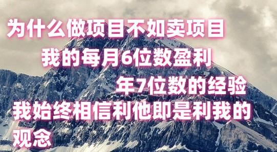 做项目不如卖项目,每月6位数盈利,年7位数经验_就是爱分享