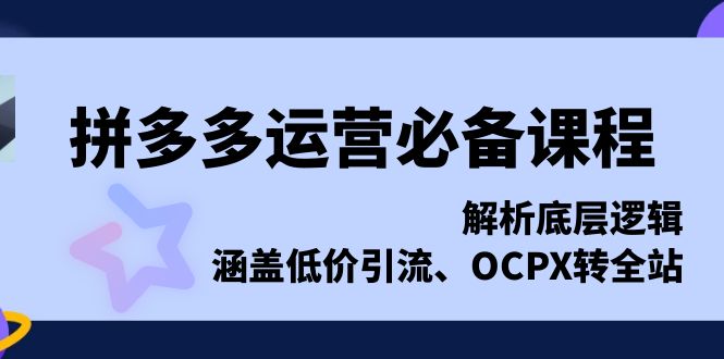 拼多多运营必备课程，解析底层逻辑，涵盖低价引流、OCPX转全站_就是爱分享
