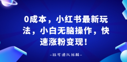 0成本，小红书最新玩法，小白无脑操作，快速涨粉变现_就是爱分享