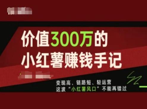 价值300万的小红书赚钱手记，变现高、链路短、轻运营，这波“小红薯风口”不能再错过_就是爱分享
