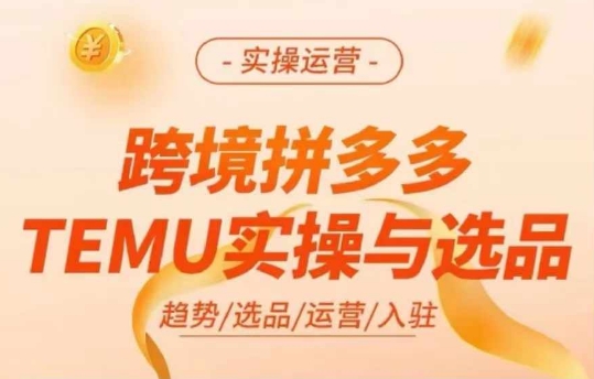 跨境拼多多TEMU实操与选品，多多temu跨境选品运营实操_就是爱分享